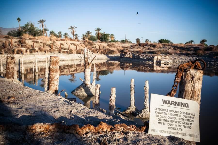 La mer de Salton est en train de mourir d'empoisonnement