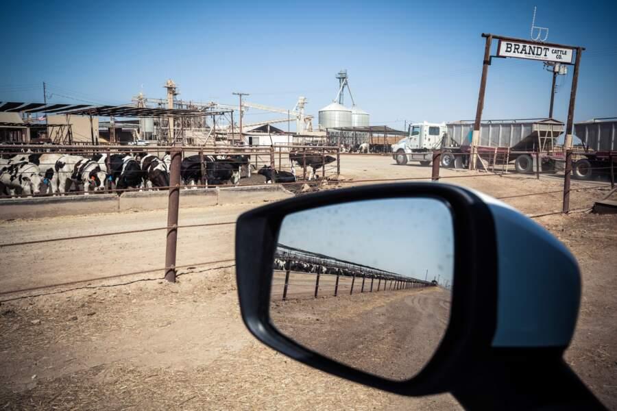 Là où chaque goutte d'eau compte, l'agro-industrie rafle la mise